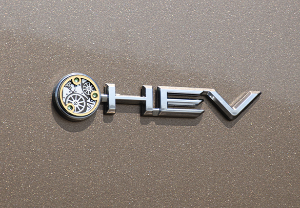 40ALPHARD_emblem